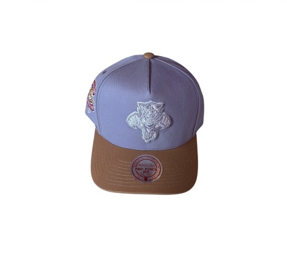 Kšiltovka Florida Panthers Frosted Peak Pro Pinch