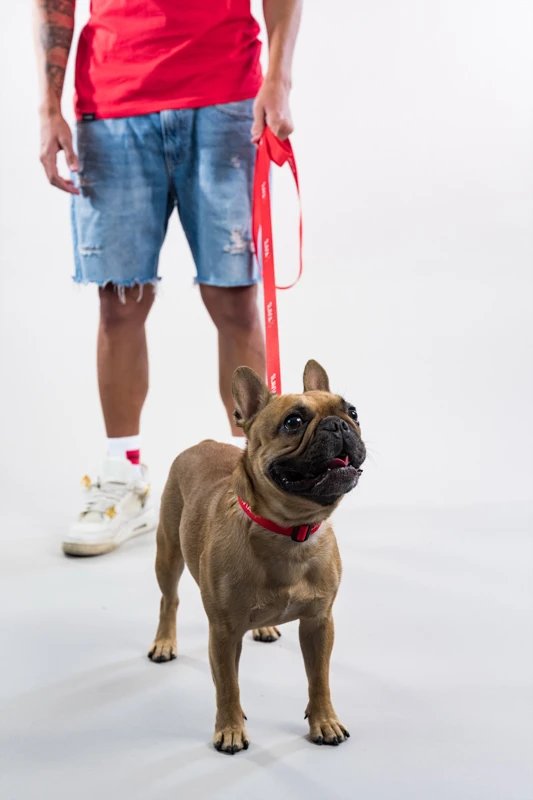 Vodítko Slavia Praha Červené